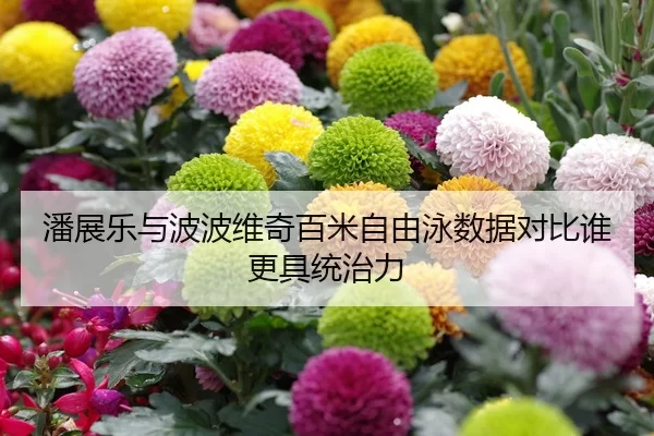 潘展乐与波波维奇百米自由泳数据对比谁更具统治力